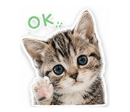 843996481