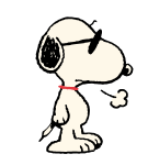 843997707