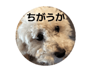 844000727