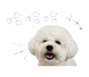 844001475