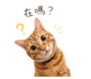 844002602