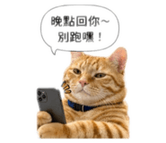 844002616