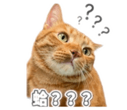 844002624