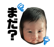 844004161