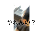 844019148