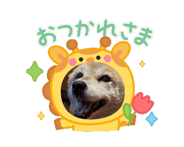 844019243
