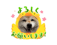 844019248