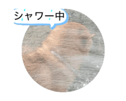 844019393