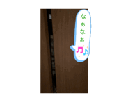 844020089