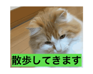844020188