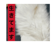 844020194