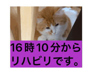 844020196