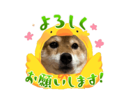 844020320