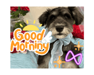 844020422