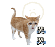 844023222