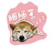 844023524