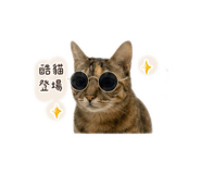 844023638
