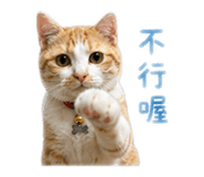 844024282