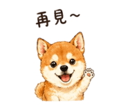 844024503