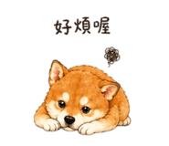 844024514