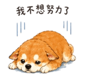 844024516