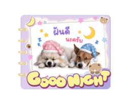 844024622