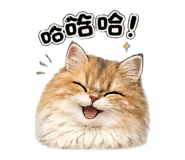 844024682