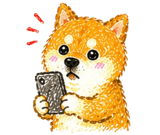 844025462