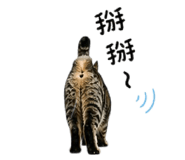844028486