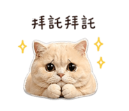 844028702