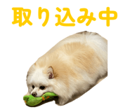 844029264
