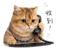 844029306