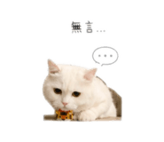 844029891