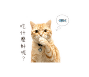 844030413
