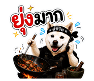 844030503