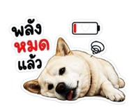 844030524