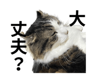 844030569