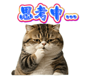 844031306