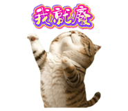 844031325