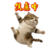 844031339