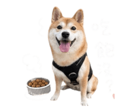 844032099