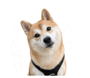 844032103