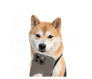 844032106