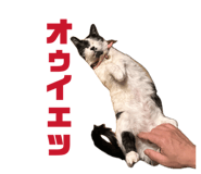 844032610