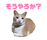 844032611