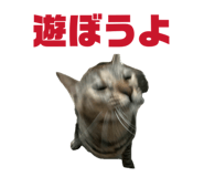 844032625