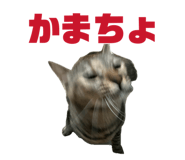 844032626