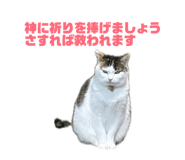 844032628