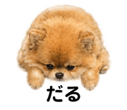 844032644
