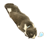 844032674